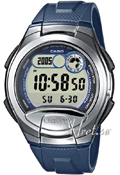 Casio Resin �42.4 mm