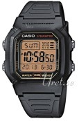 Casio Resin 44.2x36.8 mm
