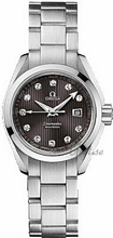 Omega Seamaster Aqua Terra Steel Grey Dial